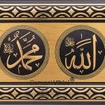 22X34-İKİLİ-DAİRE-SARI-TAM-GORUNUMU